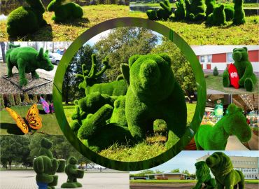 Портфолио - Животные и насекомые