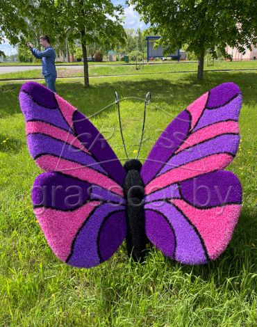 Бабочка (большая)