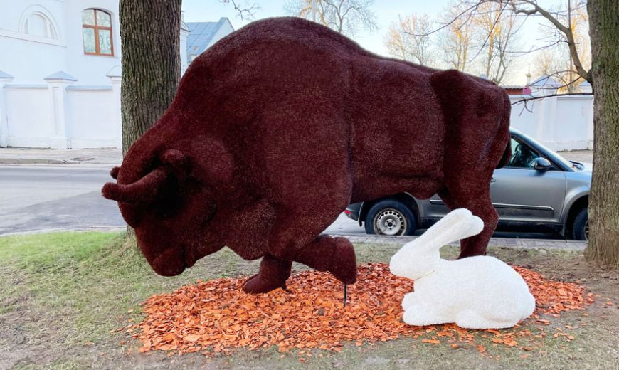 В Витебске поставили зубра