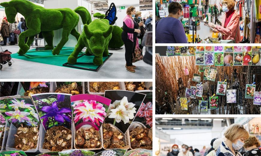 На ВДНХ прошла выставка &laquo;Дача. Сад. Ландшафт. Малая механизация&raquo;