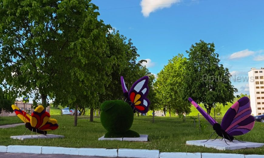 В Орше появились гигантские бабочки
