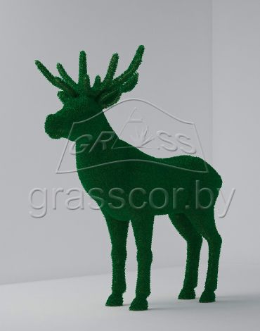 Олень 2