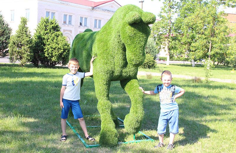Скульптуры садово-паркового топиари украсили парк