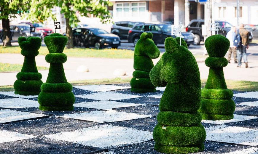 Возле Комаровского рынка установили огромные шахматы и искусственное дерево