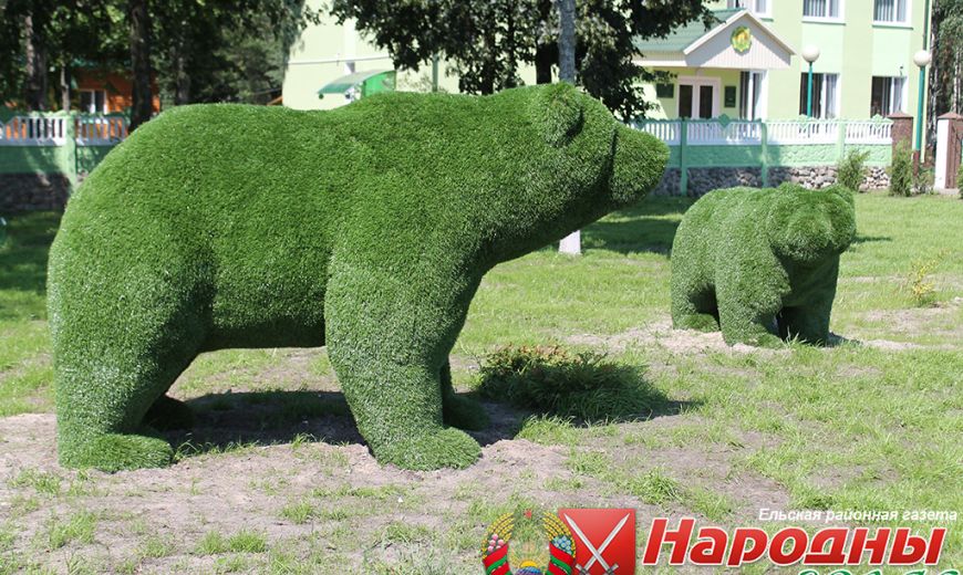 Медведи поселились в Ельском лесхозе