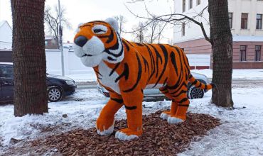 Возле Управление Капитального Строительства города Витебска установили фигуру тигра.