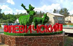 Композиция оленей